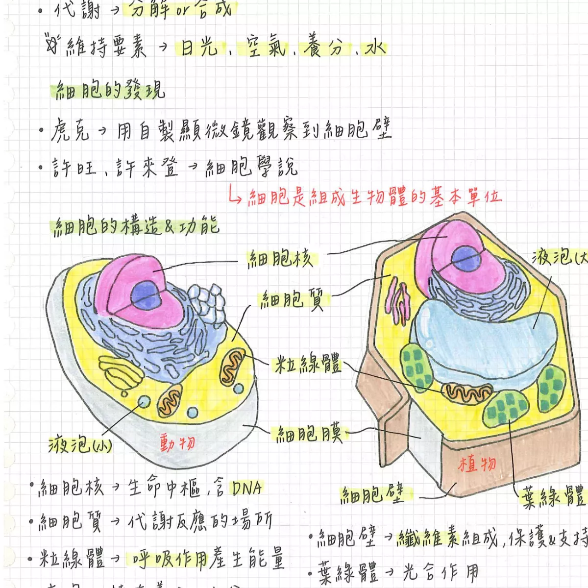 【沛】超重點表格滿滿整理!國中生物、歷史、公民、國文