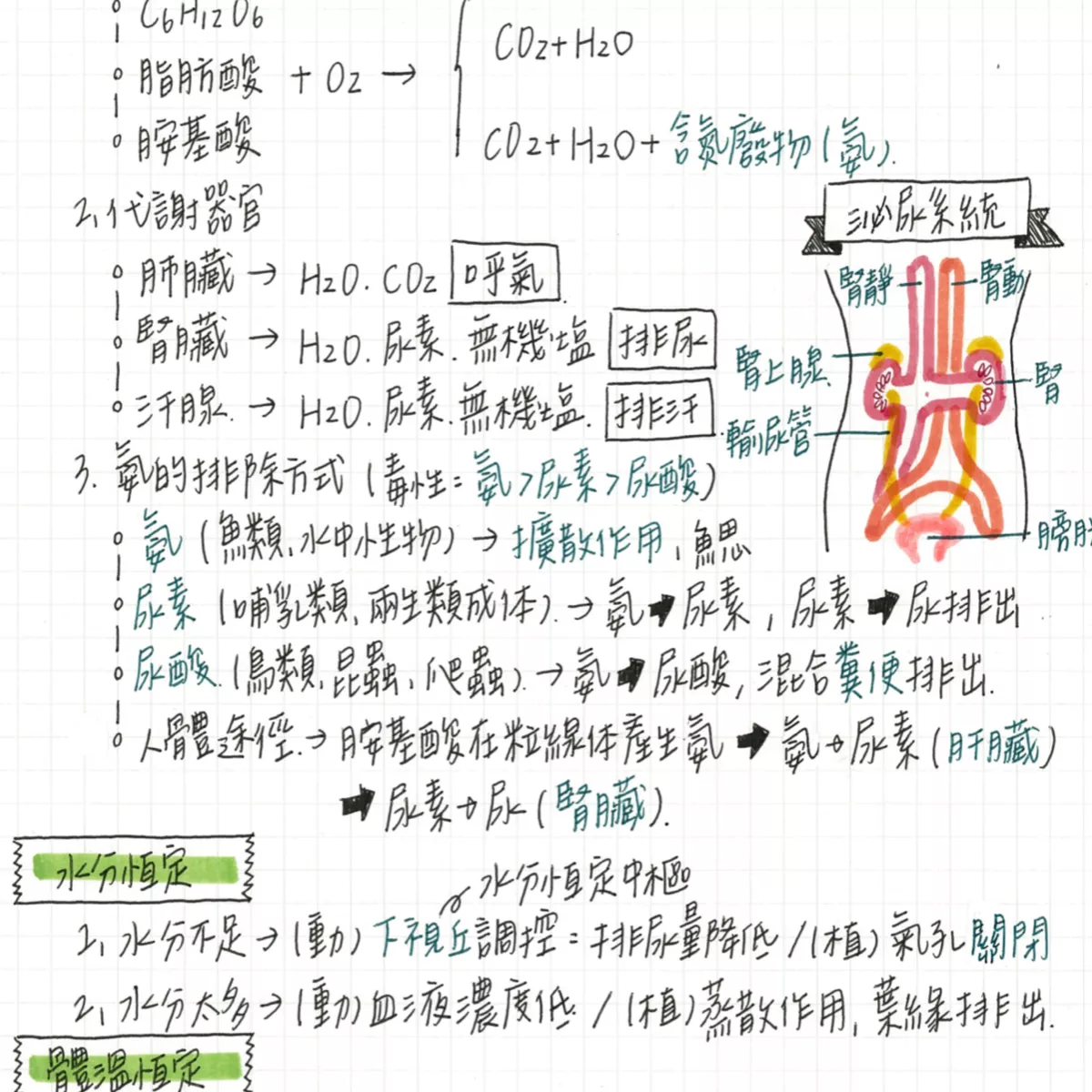 【瑤】108課綱首屆北一女5A++！國中歷史三年全、國中地理第五冊、世界地圖