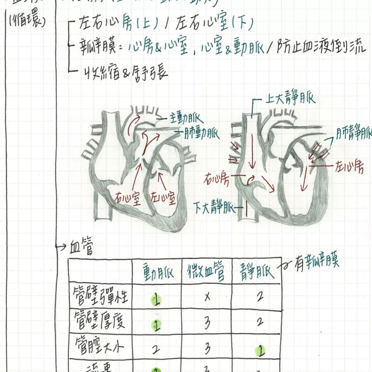 【瑤】108課綱首屆北一女5A++！國中歷史三年全、國中地理第五冊、世界地圖