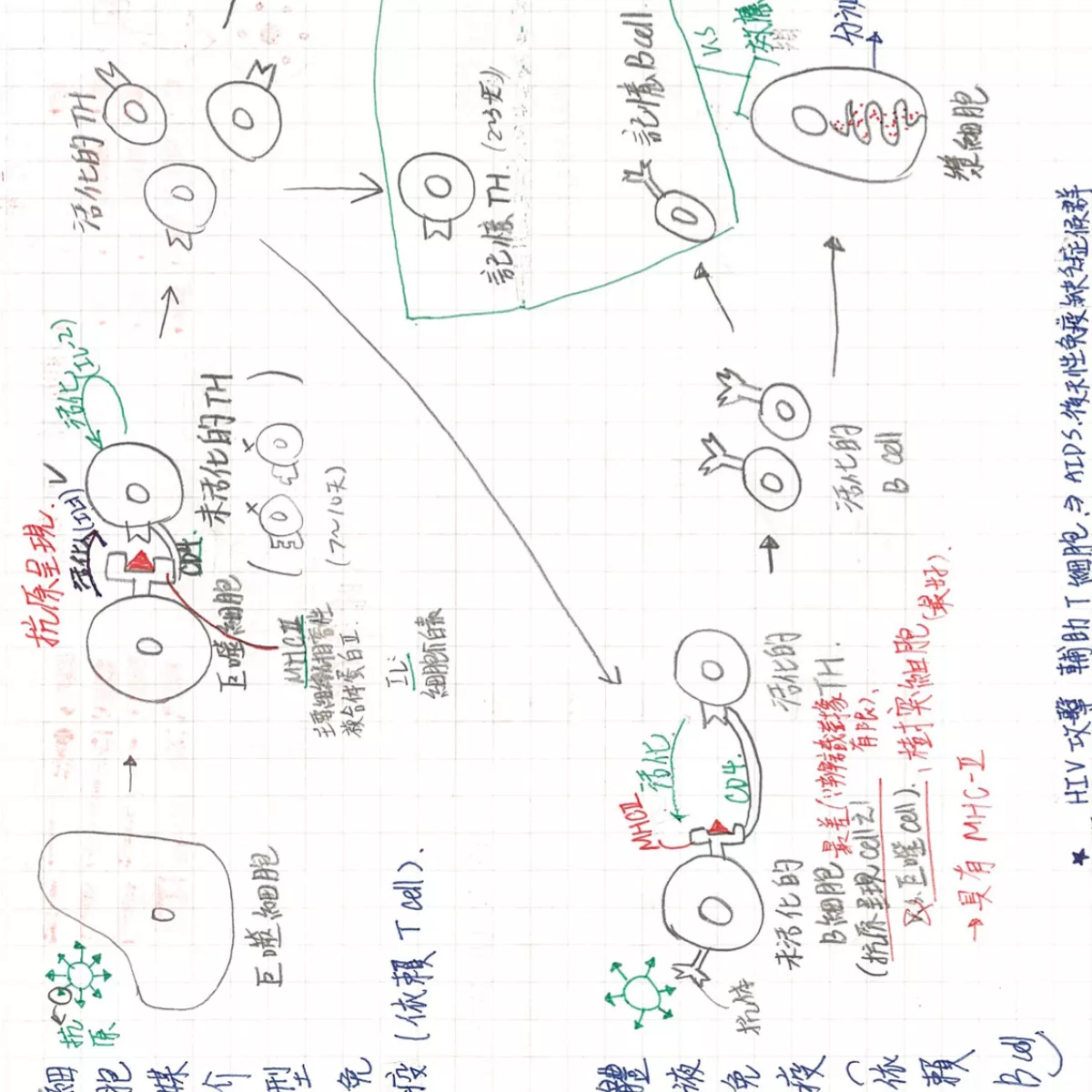全台榜首!應屆75級分榜首醫科生高中筆記!學測生物、化學、物理、社會!