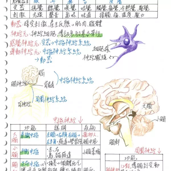 116會考最新衝刺型筆記!300面國中筆記全科重點!