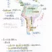 會考滿分【建中生國中筆記】國中社會、國文、地科三年全考前重點！五科滿分考生！