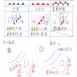 會考滿分【建中生國中筆記】國中社會、國文、地科三年全考前重點！五科滿分考生！