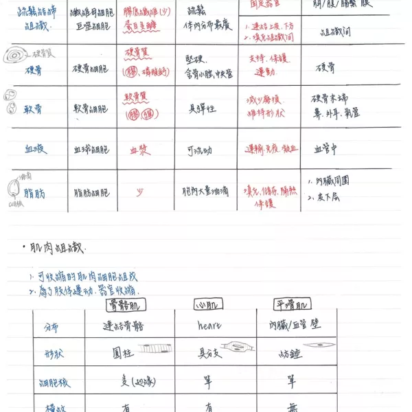 應屆醫學系、奧林匹亞學姐【高中生物化學全300考點】學測與分科範圍!