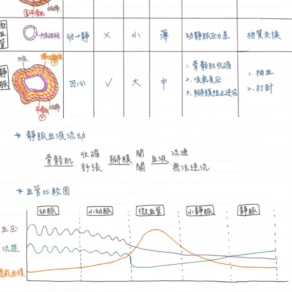 應屆醫學系、奧林匹亞學姐【高中生物化學全300考點】學測與分科範圍!