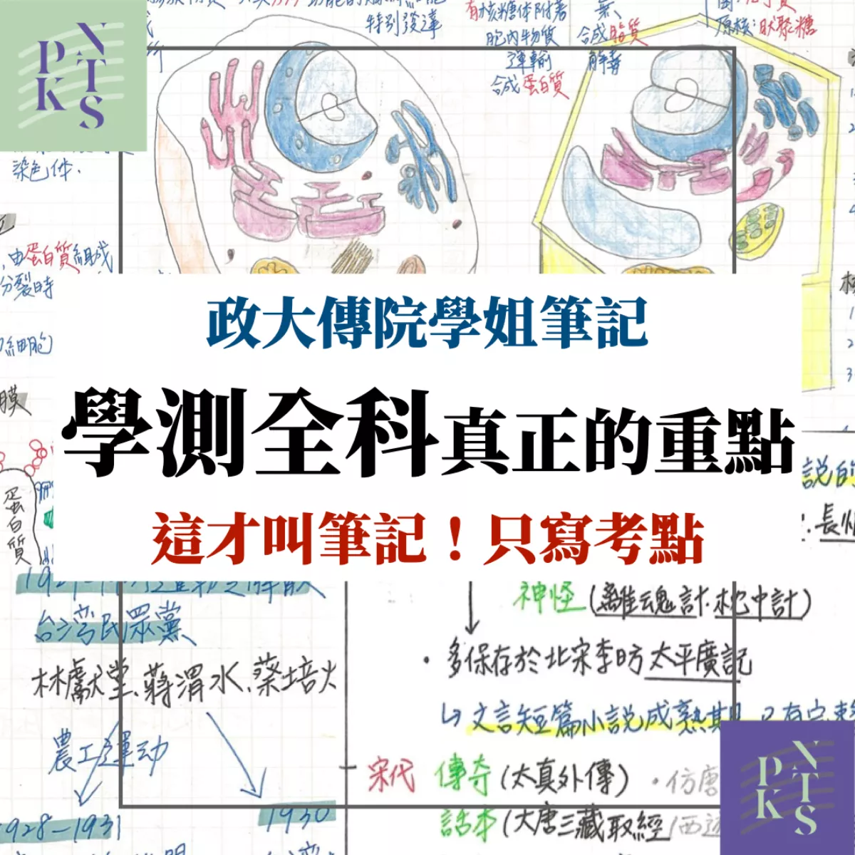 【華】政大傳院學姐!寫的絕對是重點!高中社會、自然、國英數重點!